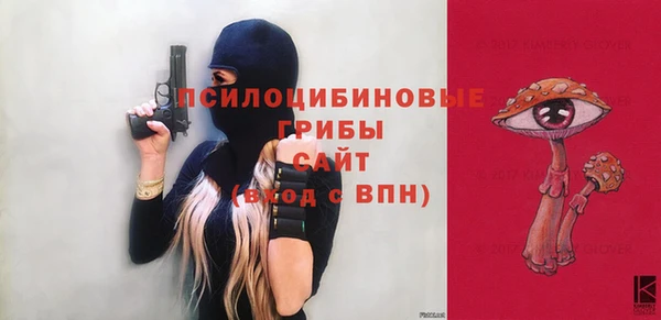 гашик Алзамай