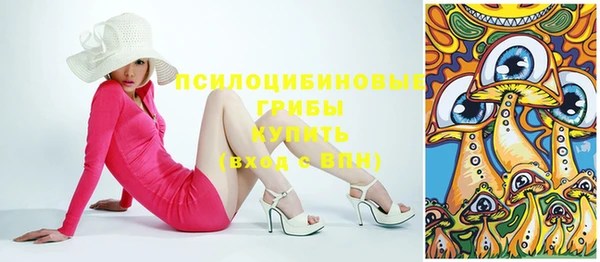 СК Сатка