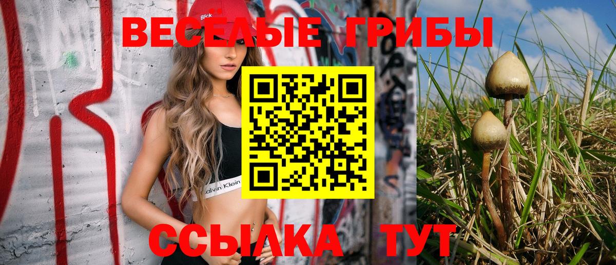 Галлюциногенные грибы Cubensis  Вход с VPN  Дюртюли 