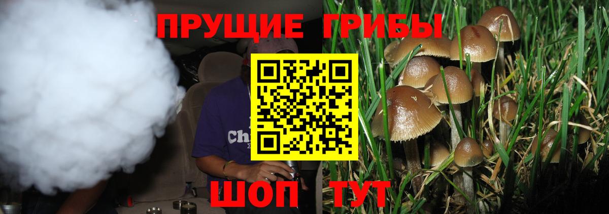 Галлюциногенные грибы GOLDEN TEACHER Дюртюли
